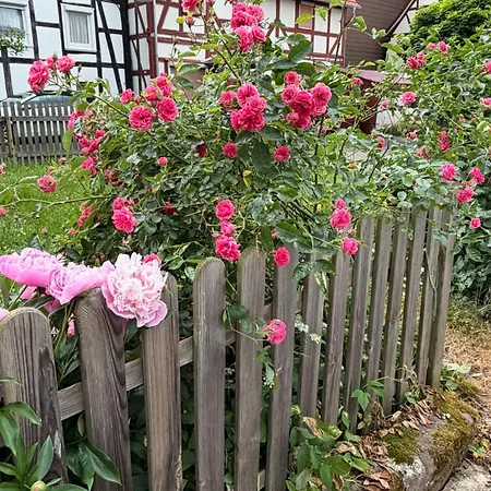 Hébergement de vacances Living Zennern - Naehe Fritzlar & Edersee *